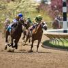 Horses racing during a spring meet at Keeneland.