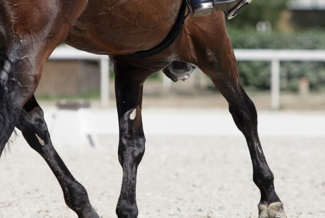 Horses hooves in action.