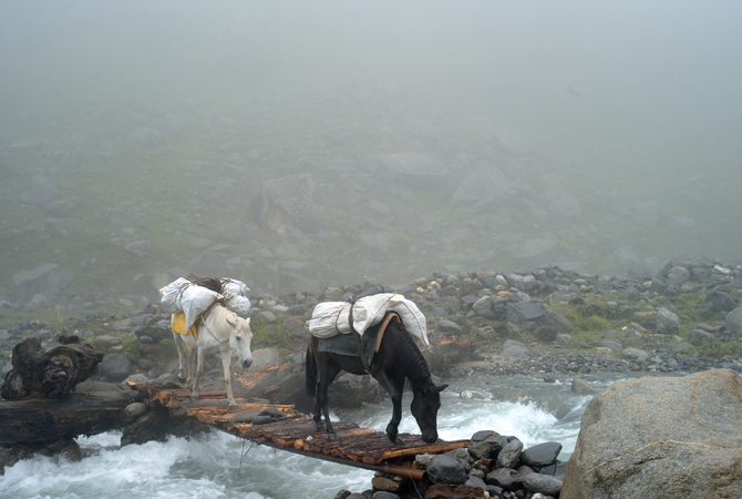 Foggy setting with pack horses crossing river.