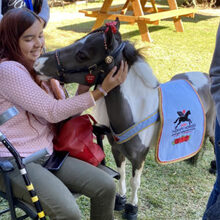 Young girl enjoying spending time with miniature therapy horse.