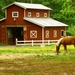A horse grazing near a red barn with stalls, open doors and windows.