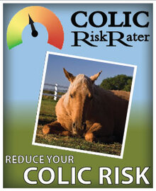 Equine Guelph's Colic Risk Rater Tool poster.