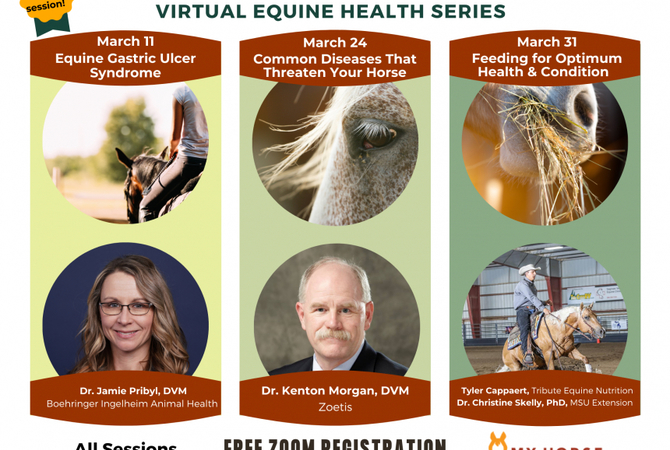 Equine health experts presenting upcoming free webinar series.