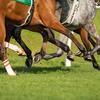 Legs and hooves of Thoroughbreds in competitive action.