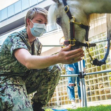 Woman in the military interacting with white horse.