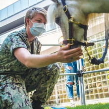 Woman in military clothing interacting with her therapy horse.