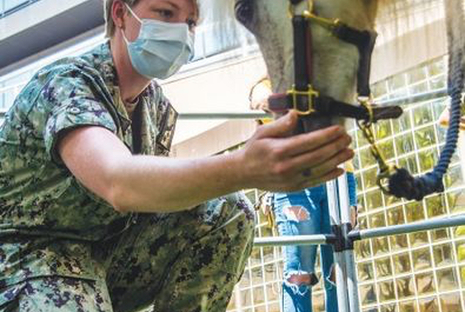 Military member engaging with therapy horse.