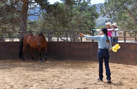 Julie Goodnight demonstrating techniques of training horses in arena as studens look on.