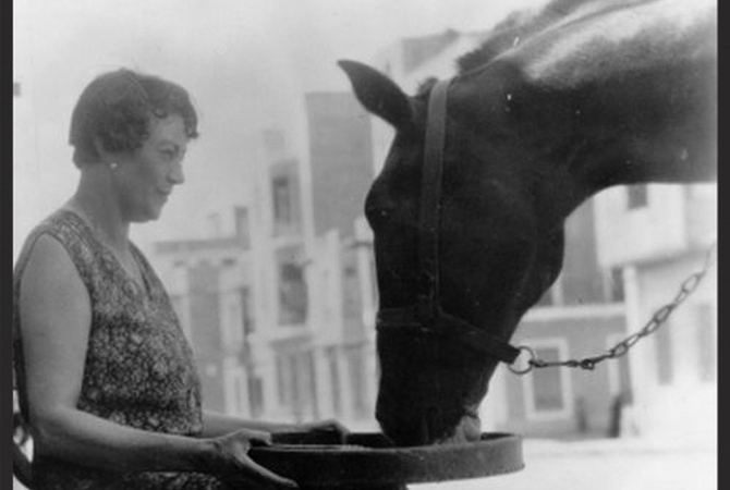 Dorothy Brooke holding a feeding pan for a warhorse.