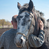 Man with arm around horse's neck during a moment of mutual caring for each other