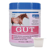 Example of a probiotic product for horses.