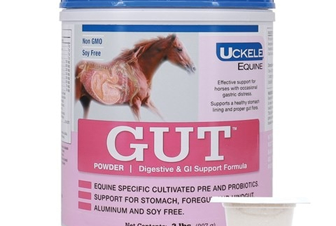 Example of a probiotic product for horses.
