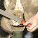 A farrier at work on a horse's hoof.
