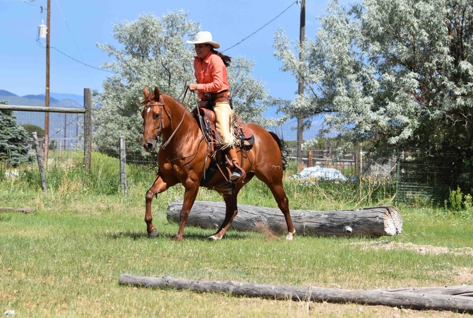 Julie Goodnight riding her horse in fenced pasture.