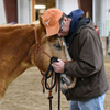 Man embracing his calm cooperative equine-assisted therapy horse.