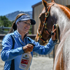 Julie Goodnight grooming her horse.