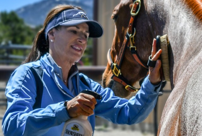 Julie Goodnight grooming her horse.