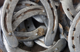 To shoe or not to shoe? Depends on the horse and the situation.