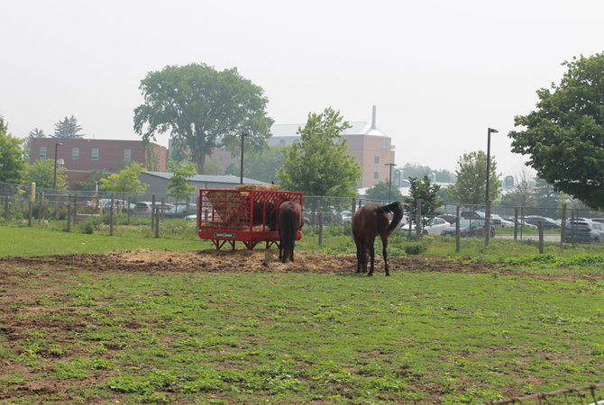 Hazy skies seen above the Ontario Veterinary College at the University of Guelph during in late June.