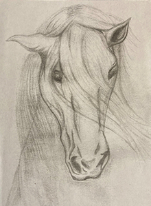 One of Carlos Vitelli's horse drawings.