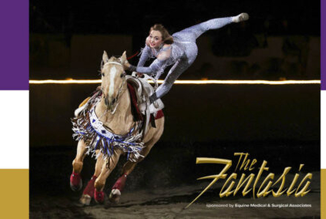 Musical act featuring horse and rider with thrilling acrobatic act during Fantasia.