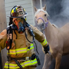 Horse being rescued from smoke-filled barn by fire fighters.