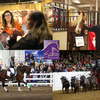 Collage of activities and people participating in Equine Affaire 2024 in London Ohio.