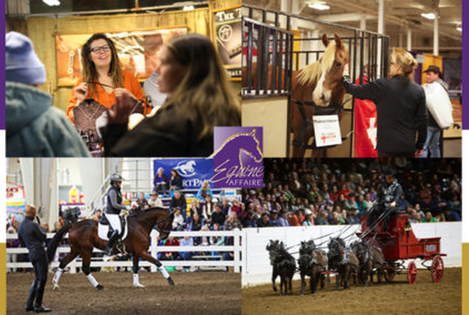 Collage of coloirful activities featuring horses and 'horsemen' at 2024 Equine Affaires.