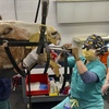 An equine veterinary dentist at work floating a senior horse's teeth.
