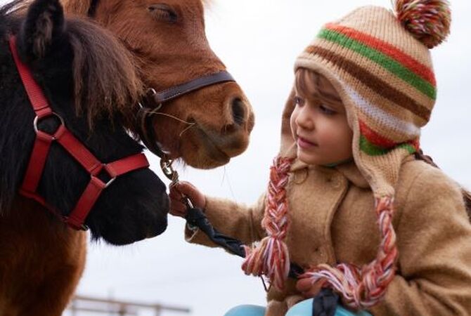 Young girl conversing with mini therapy horse.