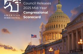 American Horse Council announcement poster rating politicians contributions to horse well-fare during 119th Congress.