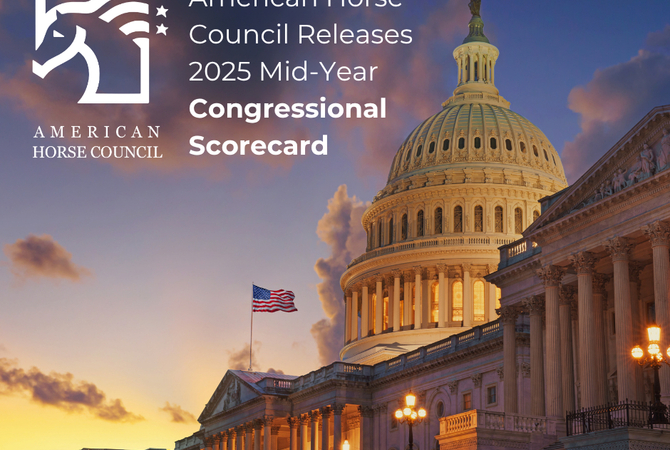 American Horse Council announcement poster rating politicians contributions to horse well-fare during 119th Congress.