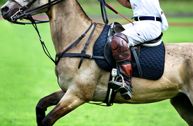 Virgorous exercise provides a good time to use a horse heart monitor.