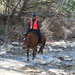Trail rider on a snowy winter trail near an icy river
