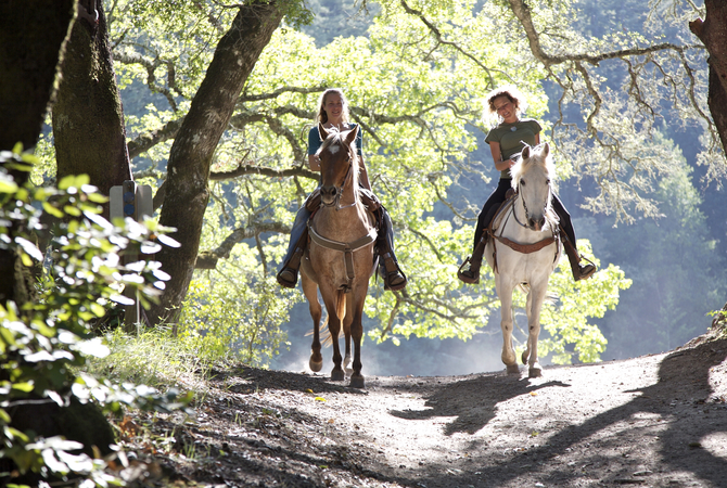 Two women riding horses on a tree-lined mountain trail.