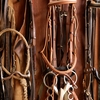 Tack for horses including bridles and a rope that could be used to hobble a horse.