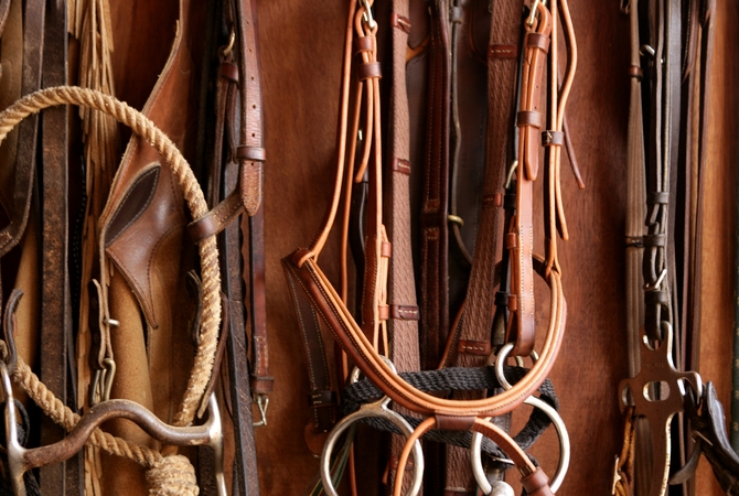 Tack for horses including bridles and a rope that could be used to hobble a horse.