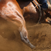 Barrel horse rounding a barrel