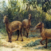 The eohippus: Ancient ancestor of the domestic horse.