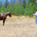 Man training a sorrel horse,