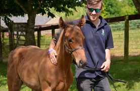 Young man with colt.