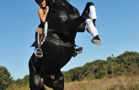 Rider hanging onto spooked, bucking horse.