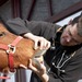 Veterinarian checking out a horse.