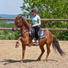 High stepping pony with young rider wearing her helmet.