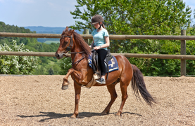 High-stepping pony with young rider wearing an equestrian helmet.