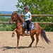 High-stepping pony with young rider wearing an equestrian helmet.