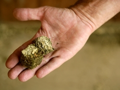 Hay pellets and other large pieces of feed can cause choking in horses.