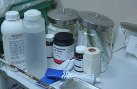 Equine first aid kits should contain well-organized essentials that can be grabbed in an emergency and carried to wherever they are needed.