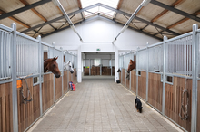 Horses at a riding stable.