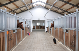 Well-designed barn allows plenty of ventilation and light.